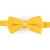 New Design High Quality Bowtie for Men (YWZJ 70)