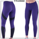 High Quality Yoga Wear Latest Yoga Pant