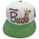 Fashion Fitted Baseball Cap with Nice Logo (GJ1750)