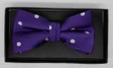 New Design Fashion Men's Woven Bow Tie (DSCN0053)