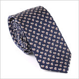New Design Fashionable Polyester Woven Tie (2407-2)