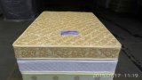 Home Hotel Simple Spring Soft Mattress