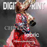 100% Polyester Printed Fabric Chiffon (X1034)