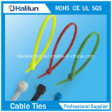 Plastic Product Nylon66 Zip Tie for Bound Bag