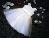 Party Dress Children Dress Party Outfit Fashion Dress