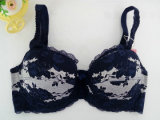 Wholesale Big Cup Size Bra Lace Bra with Pad Underwear