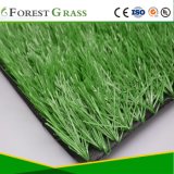 Premier Artificial Sports Surface (SE)