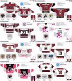 Customized American Hockey League Hershey Bears Ice Hockey Jersey