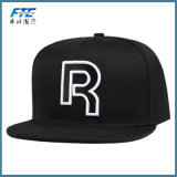 Custom 3D Embrodiery Logo Flat Brim Men Snapback Hat