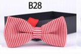 New Design Fashion Men's Knitted Bowtie (B28)