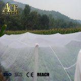 Plants Anti Insect Net/Greenhouse HDPE Insect Control Netting