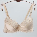 High-Class Embroidery Lace Lingerie Bra Set for Women (CSM036)