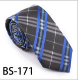 New Design Fashionable Silk/Polyester Check Tie (BS-171)