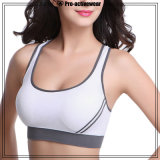 Wholesale Plus Size Women Seamless Running Yoga Sports Bra