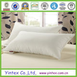 Feather and Down Cotton Pillow