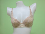 Free Sample Cute Girls Fashion Push up Bra (M238029-PW)