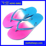 New Unisex PE Sandal with Jelly Straps (GD1502)