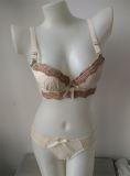 Beautiful Rural Style Padded Bra and Panty Set for Ladies (CS01118)