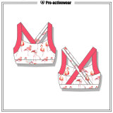 New Fashion Yoga Sport Bra Wholesale Sport Bra New Design Bra