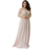 Wholesale Plus Size Apricot Transparent Embroidery Gown