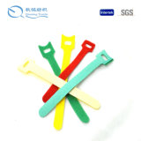 Full Sizes Nylon Cable Ties with Ce RoHS UL Certification