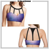 OEM Factoey Wholesale Fitness Clothes Gym Wear Sports Bra Women