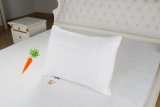 New Beta-Carotene Pillow Made in China