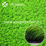 Simulation Turf Carpet for Garden or Landscape (SUNQ-AL00050)