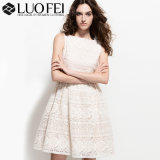 Designer Lady White Allover Floral Lace Organza Embroidery Dress