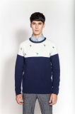 Fashion Round Neck Embroidered Knit Pullover Sweater for Men