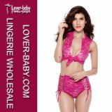 Sexy Lace Lingerie Nightwear Underwear (L32565-2)