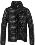 Men Fashion Casual High Quality Padding Winter Jacket