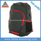 Brand Travel Gym Outdoor Training Backpack Sports Bag