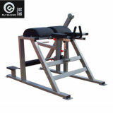 Plate Loaded Hammer Strength Reverse Hyper Extention Machine Osh073 Sprots Equipment