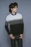 Winter Round Neck Patterened Knitting Men Sweater