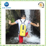 Promotional Outdoor Camping 20L Waterproof Barrel Backpack Dry Bag (JP-WB016)