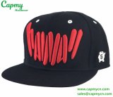 Strong Raised 3D Embroidery Hat Snapback Cap Style