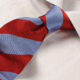 Men's High Quality 100% Woven Silk Tie (1209-08)