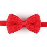 New Design Fashion Knitted Men's Bow Tie (YWZJ 6-1)