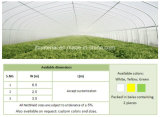 Insect Proof Net, Mesh Net, UV Net (Anti-Insect Net Anti-Bird Plastic Net Agricultural Insect Net HDPE Net Anti-Insect Net)