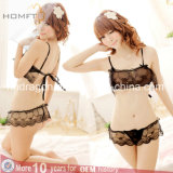 Manufacturer Hot Sale 3- Point Underwear 2 Pieces Sexy Lace Lingerie Set Bra Underwear Set