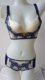 Fancy New Lingerie Bra and Underpants (CS01111)