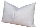 Single Pack Double Down Standard Pillow