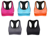 OEM Dri Fit Women Sexy Yoga Fitness Bra Sports Yoga Bra New Style Bra Top Sportswear for Women