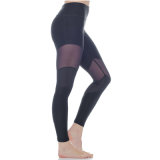 Own Design Private Label Apparel Women Plus Size Yoga Pants