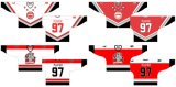 Customized Ontario Hockey League Sault Ste. Marie Greyhounds Hockey Jersey