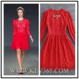 New Fashion Ladies Long Sleeve Sweet Lace Cocktail Dress