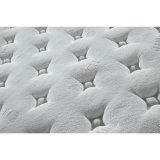 High Quality Super Lastic Pocketed Coils for Compressed Bedroom Hotel Mattress