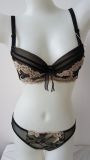 New Arrival Sexy Bra and Panty Set Lace Lingerie (CS26118)