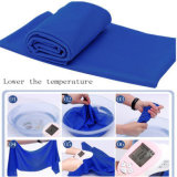 Microfiber Suede Bath Towel Cheap Wholesale Beach Towel Sport Towel